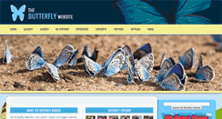 Desktop Screenshot of butterflywebsite.com